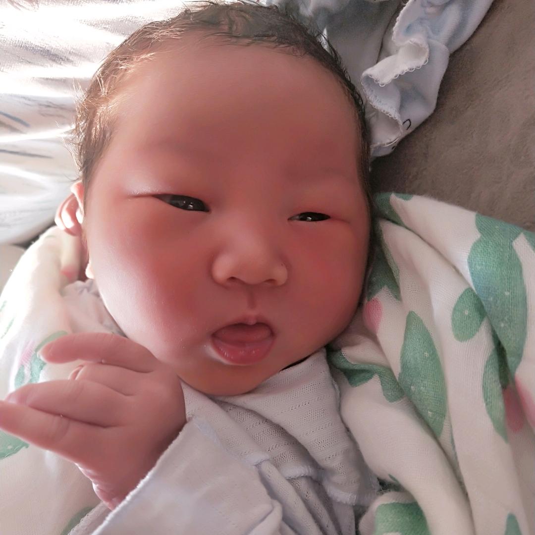 🌈樱桃没了丸子