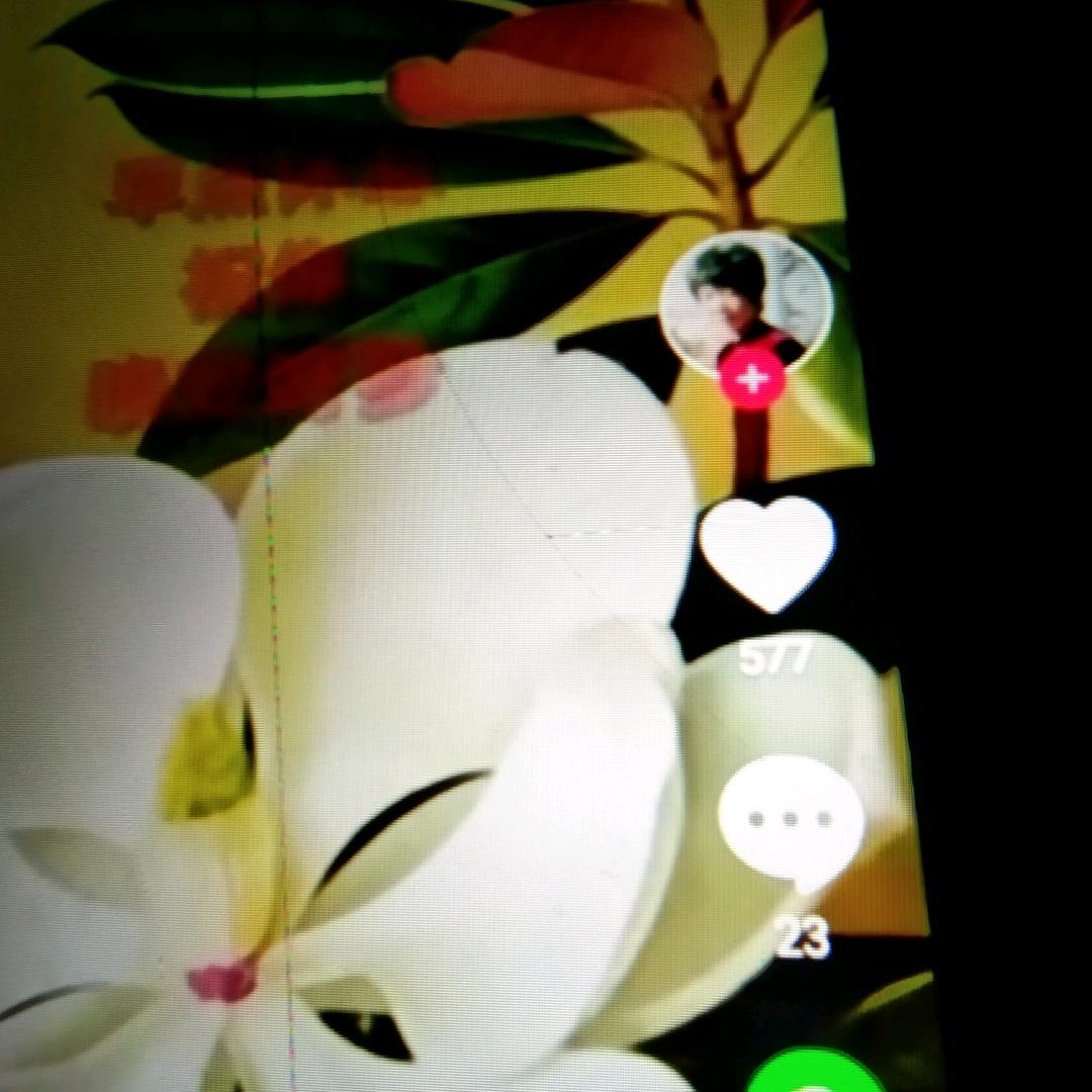 热爱生活的坚强女人