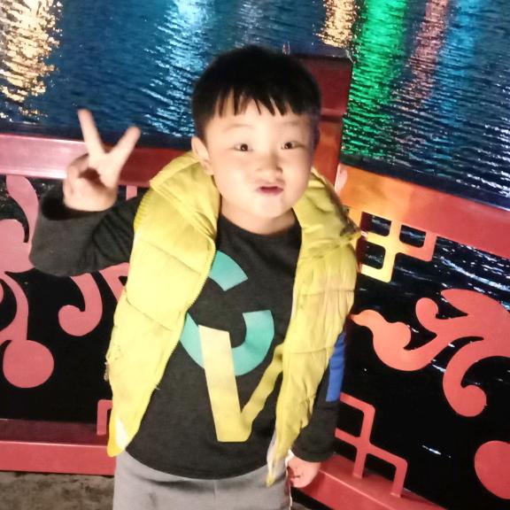 鑫龍