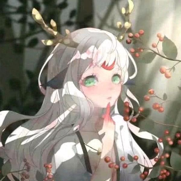 西柚