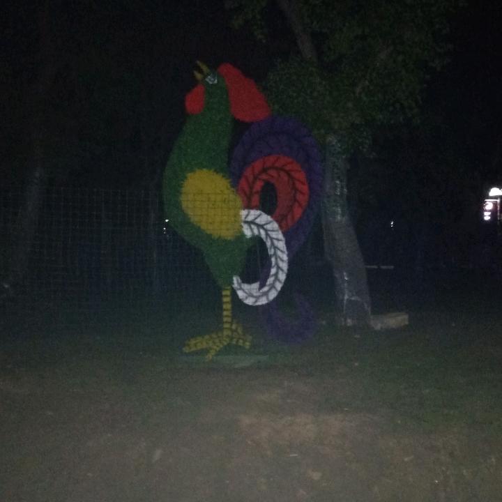 高生