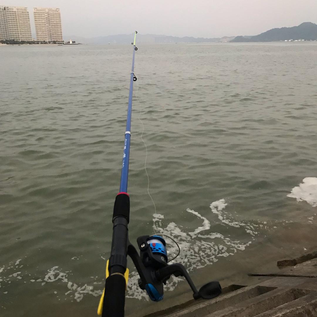 风华正茂