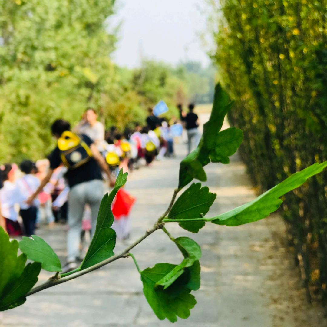 潍坊经济开发区凯贝米幼儿园有限公司