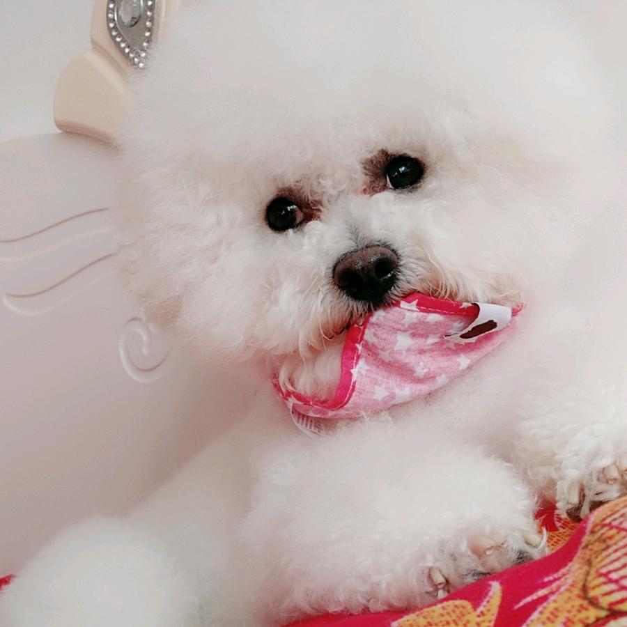 钱多多爱七喜