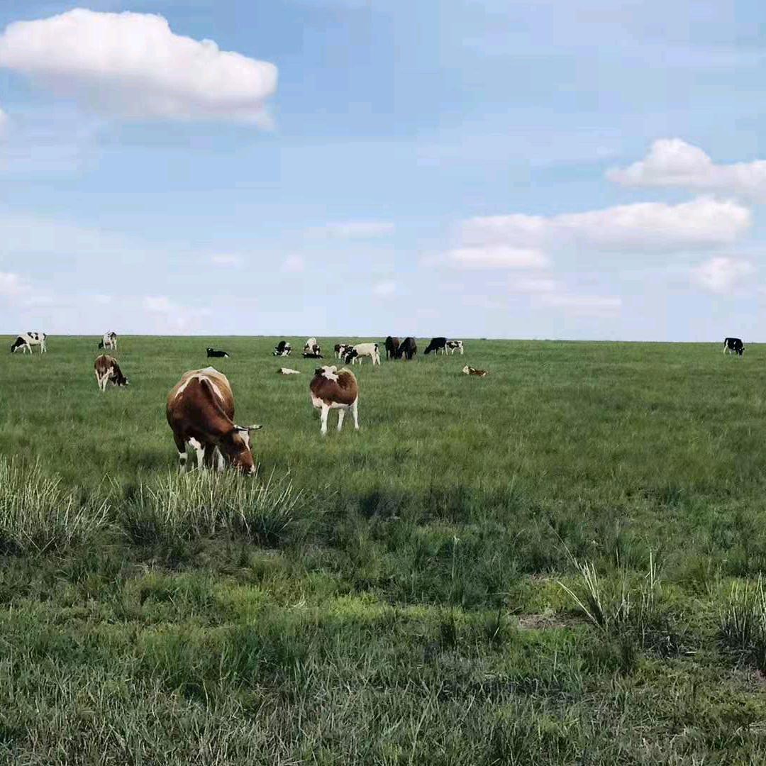！！！！