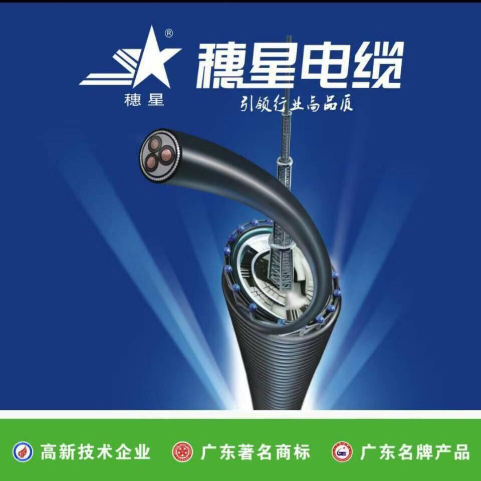🍎善哥🎉
