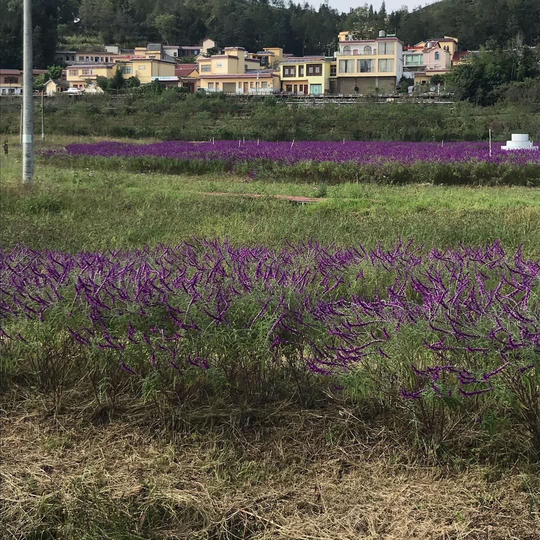 时光。