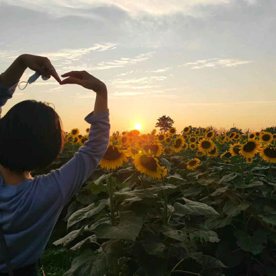 春暖 花开