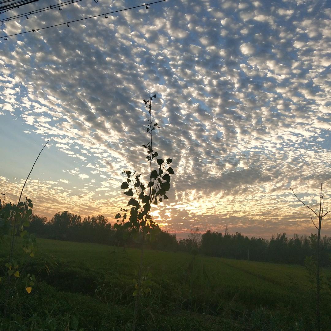 人艰不拆，我真善良