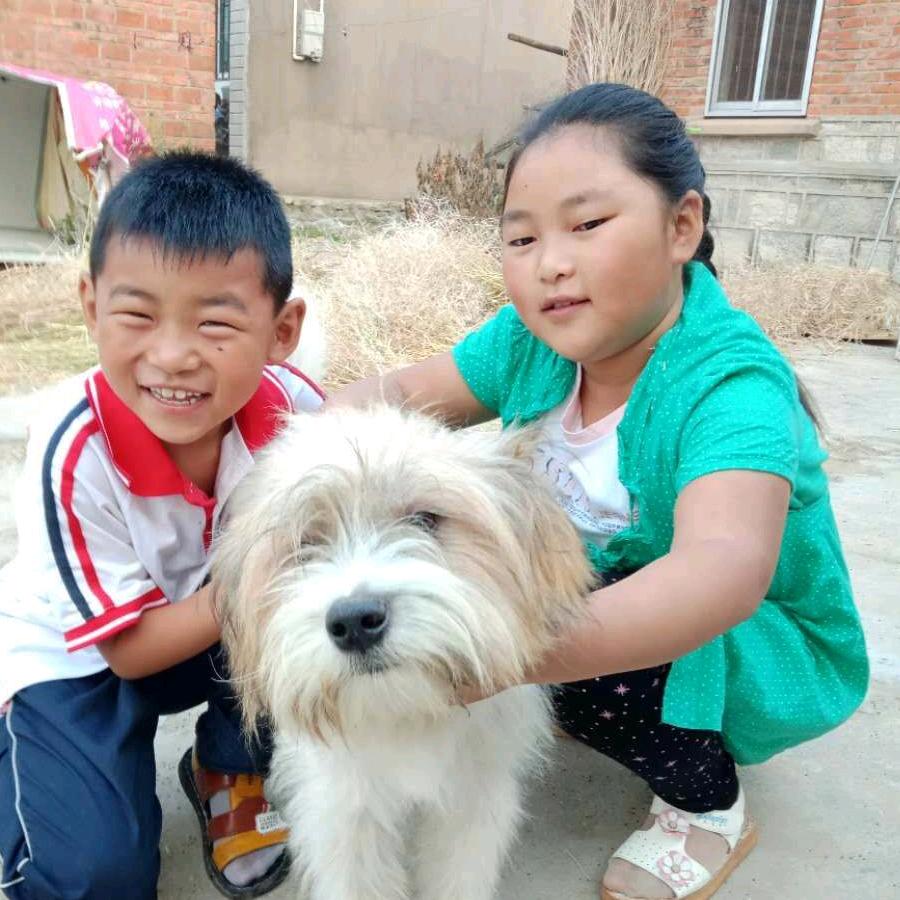 笑口常开🐷🐷🐷