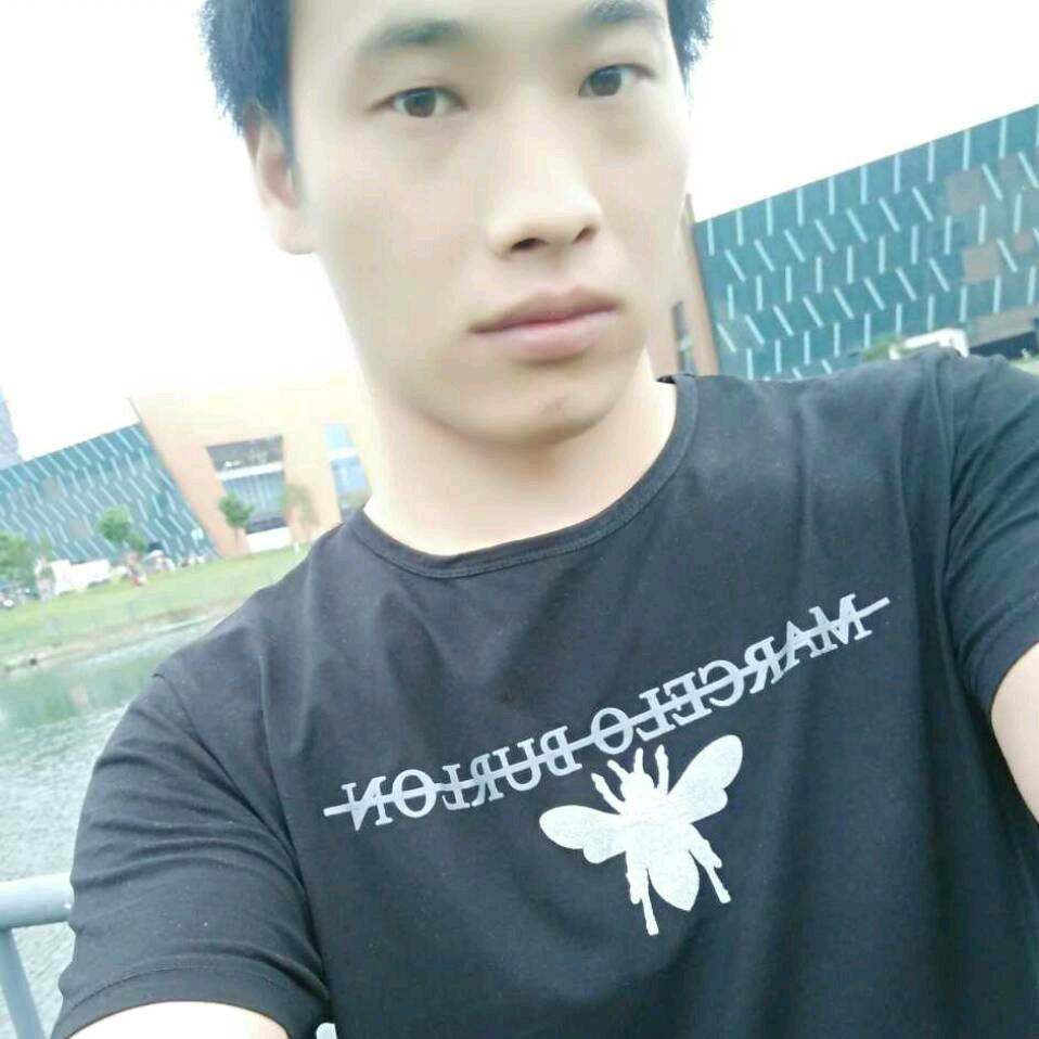 孤独风中的一匹狼