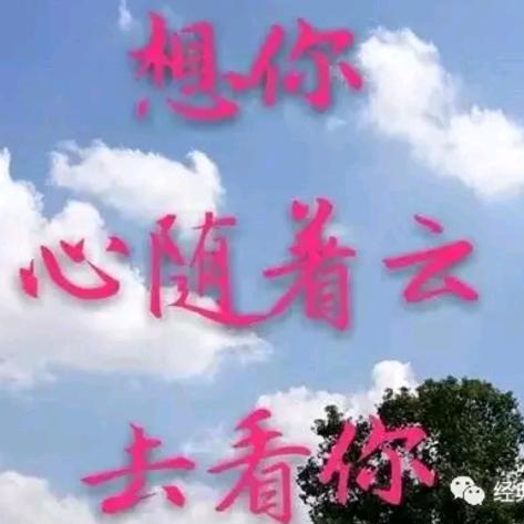 王云