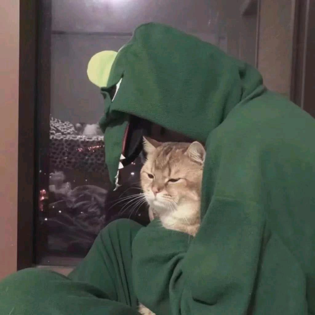 橘猫