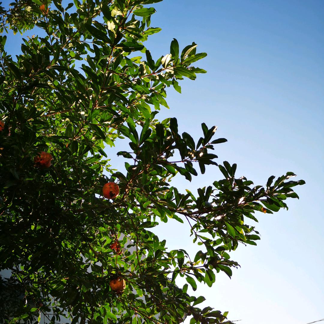 余姚创佳电子主理人（PCBA）