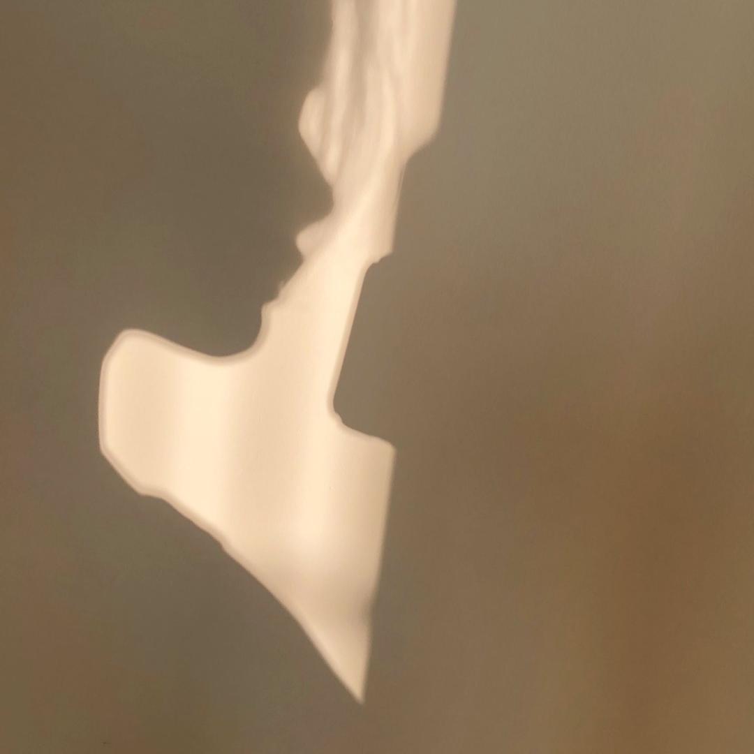 长一朵蘑菇