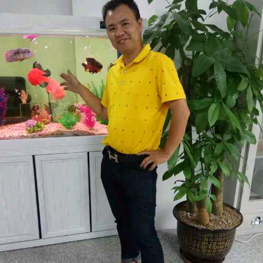 大福富强二手车叉车出租