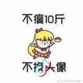 大龙小象