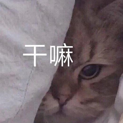 十五