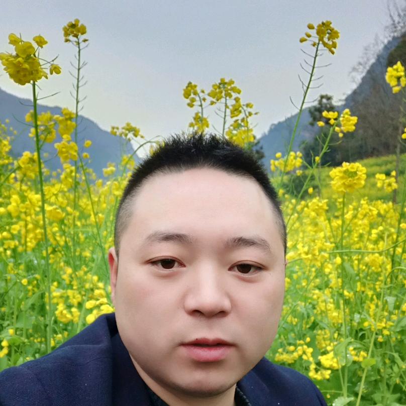 孤独雄鹰