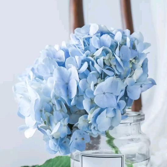 手机用户74312801108