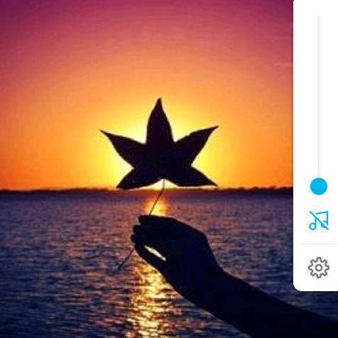 🌸喜乐安康🌸