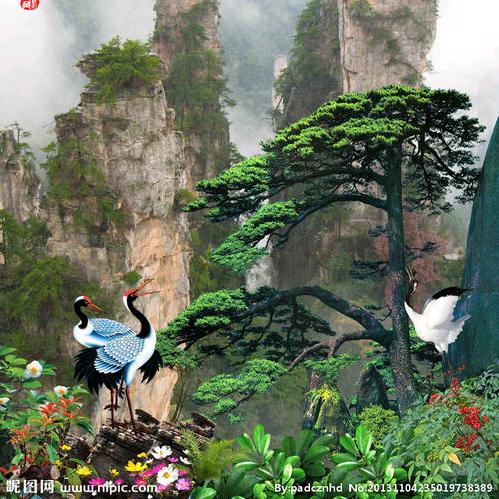 青山绿水。
