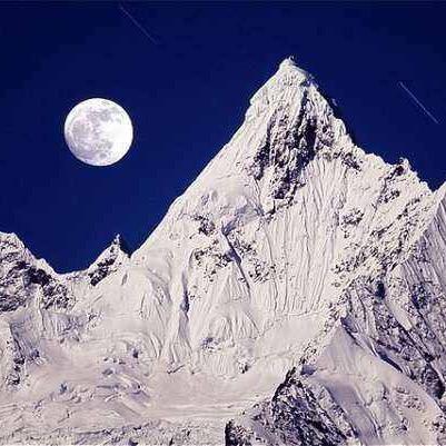 额尔济斯河的鱼🐠