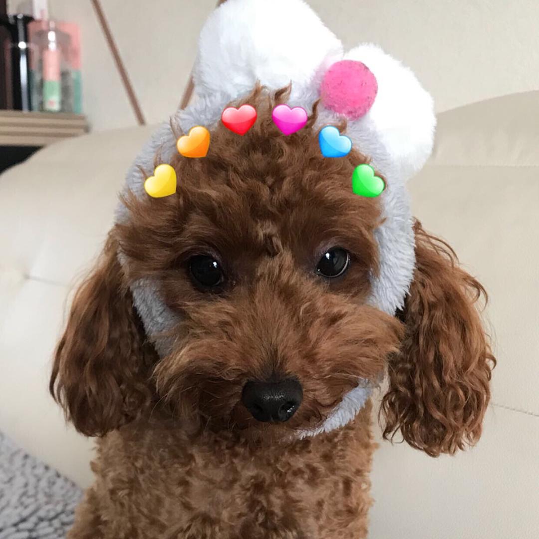 🌈优优可可茶🍓