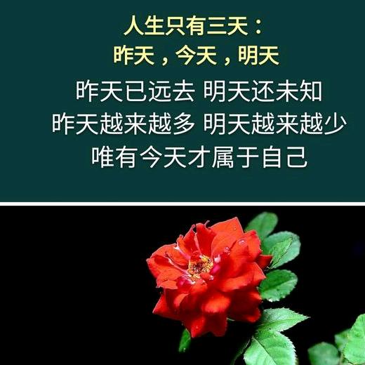 戒不᭄ʚïɞ掉的🚬烟᭄