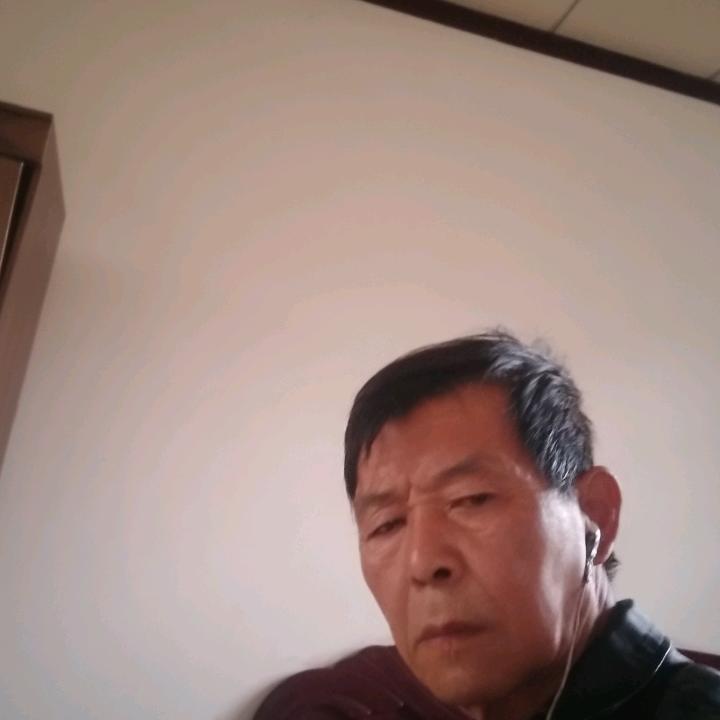 自由飞翔