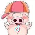 小猪🐷🌴
