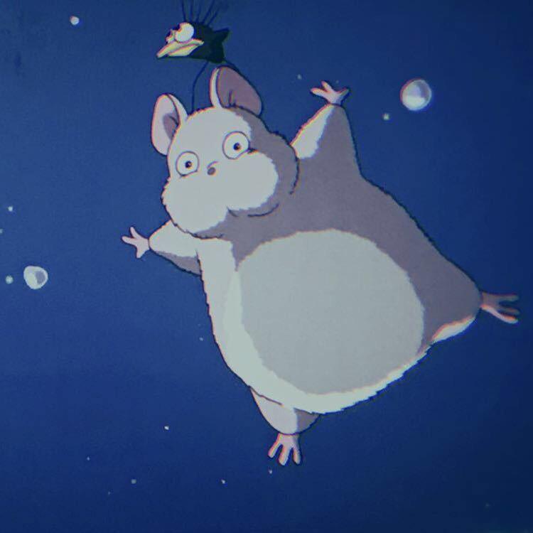 六角的西瓜