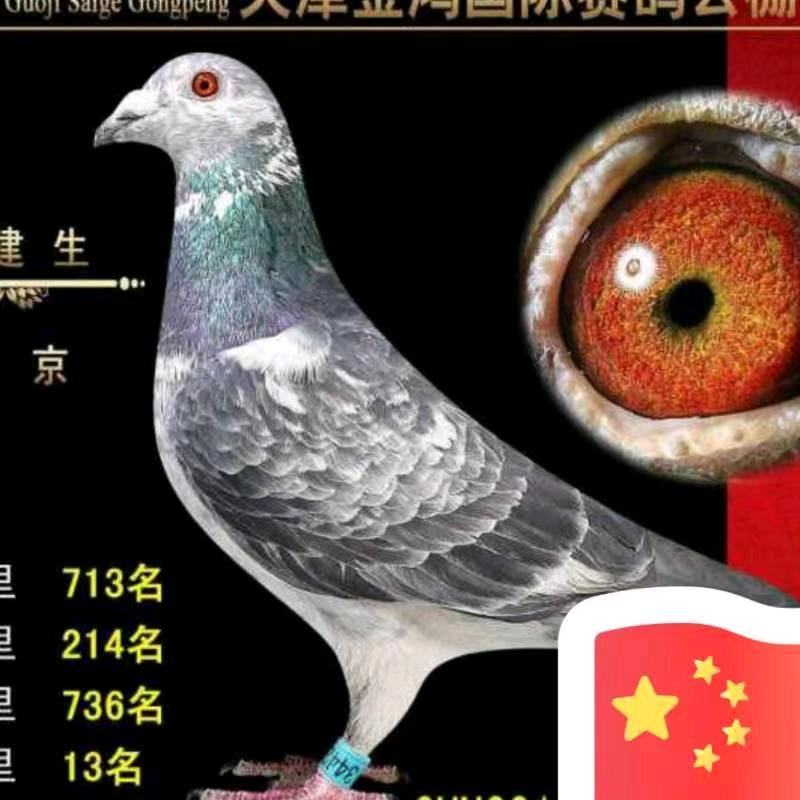 追忆