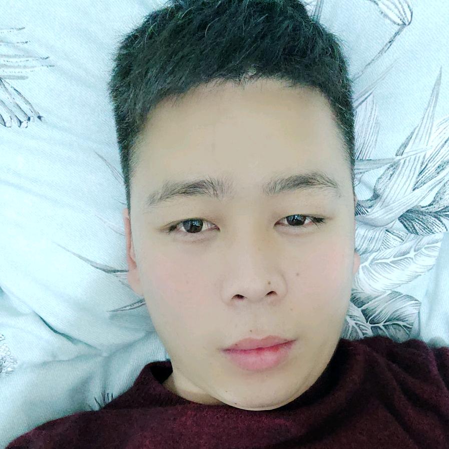 …………………