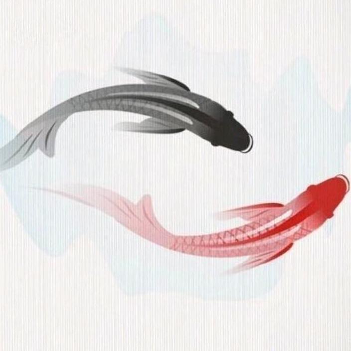 淡淡----