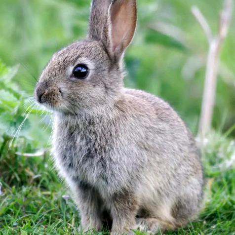 十五的月亮！！