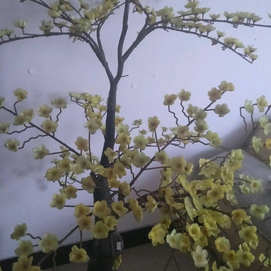 小萍果