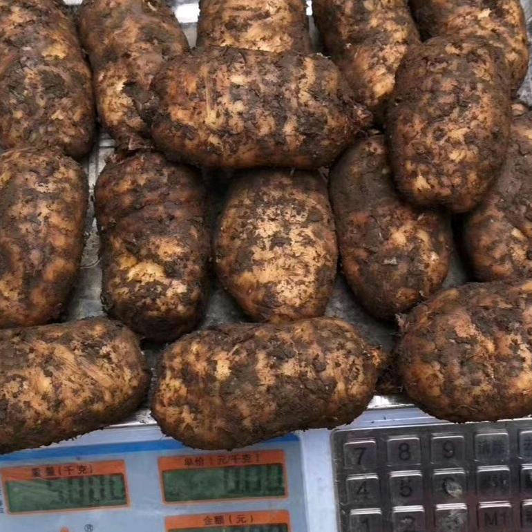 万水千山总是情