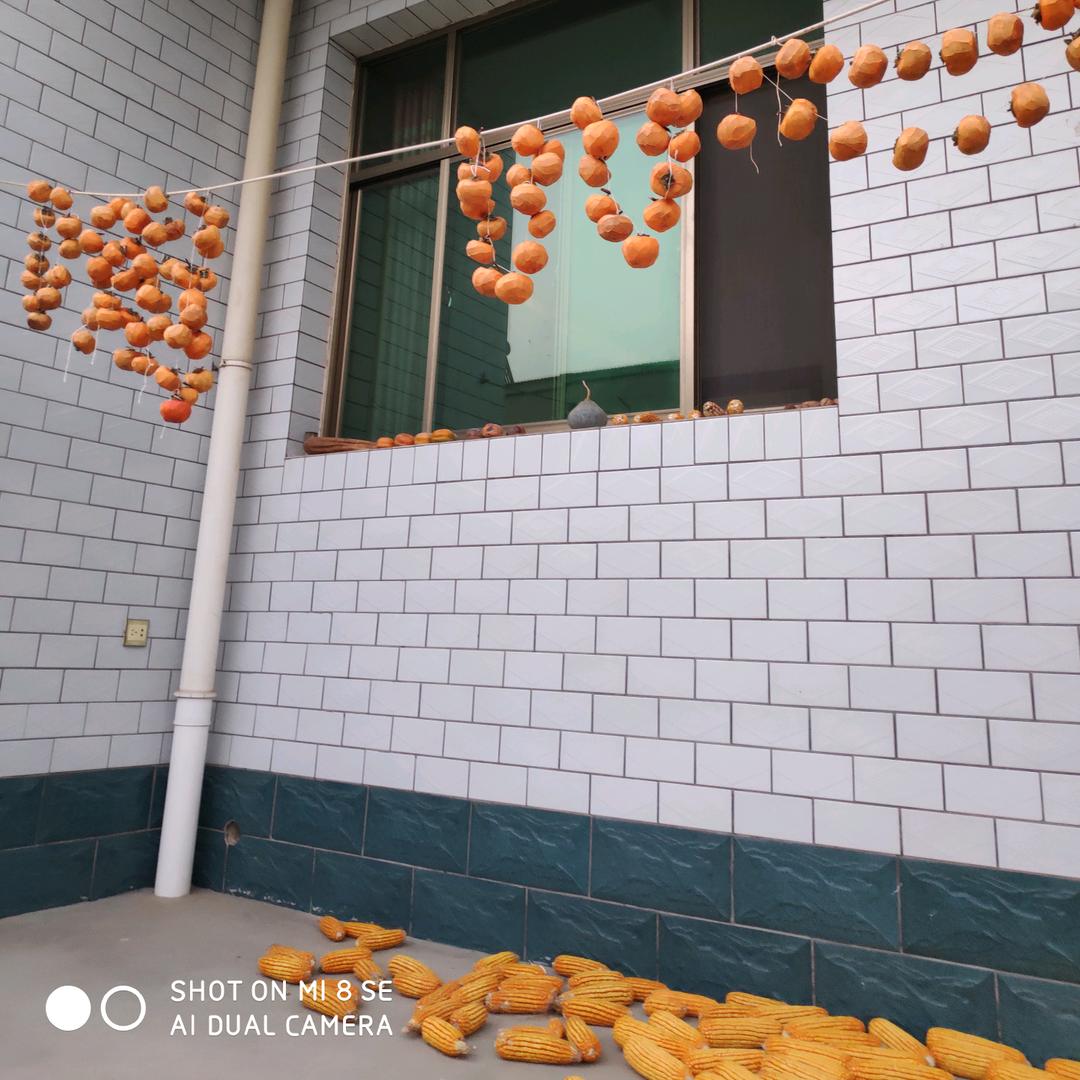 过客