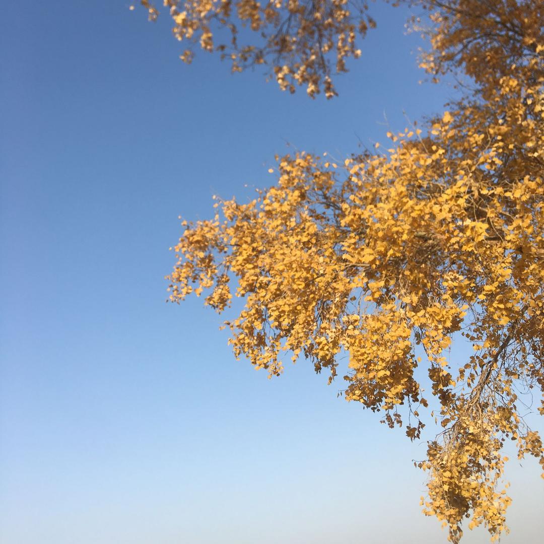 剑起苍穹云归处