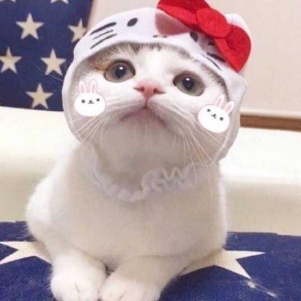 丹丹宝贝
