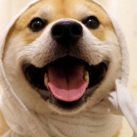 心想事成