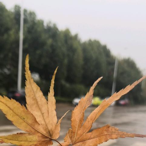 一笑忘百愁