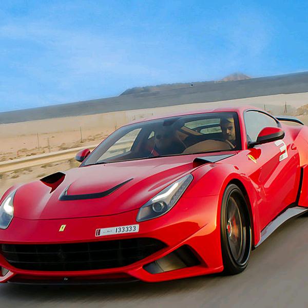 杨开心557：专业机喷石膏，