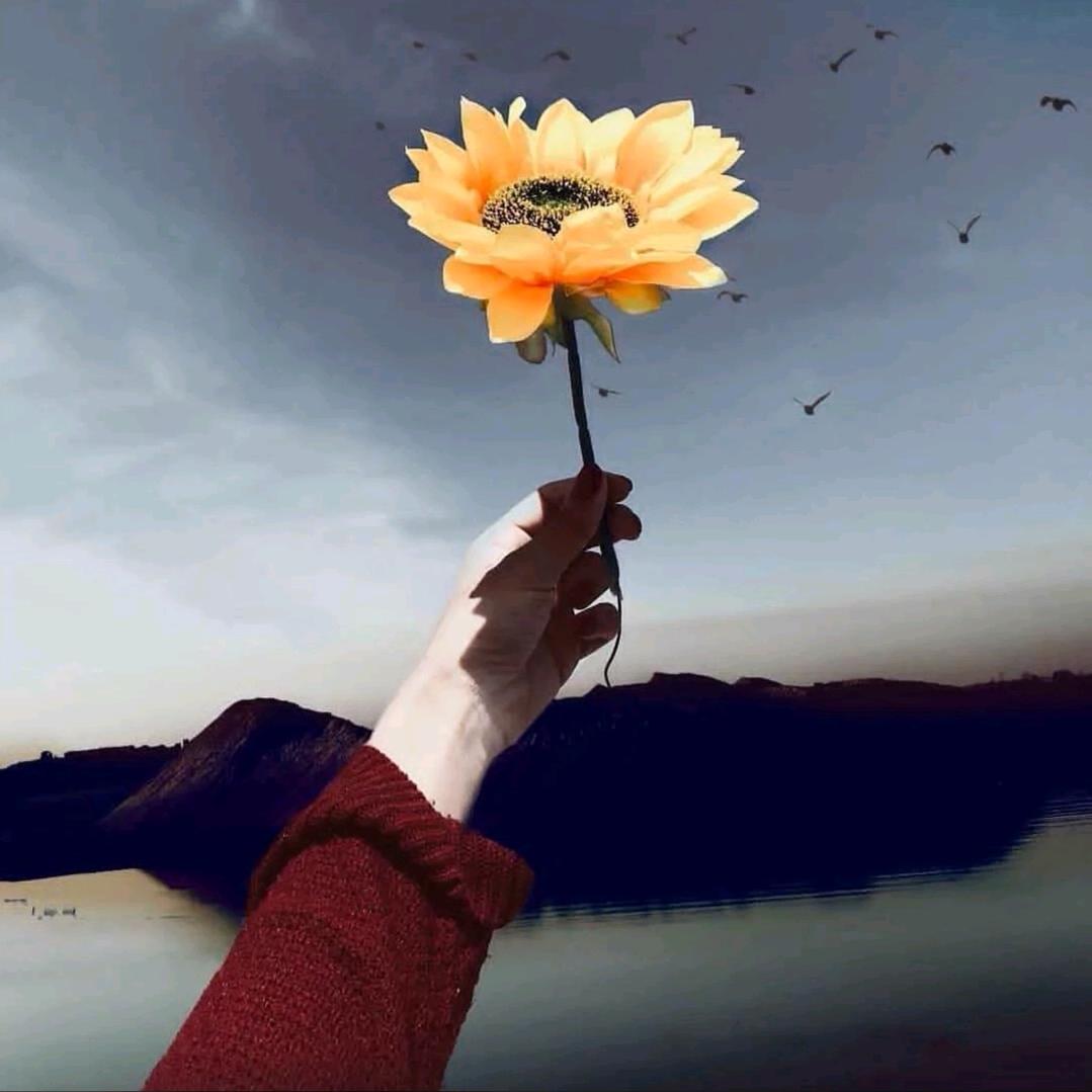 ζั͡ޓއއއ๓凉