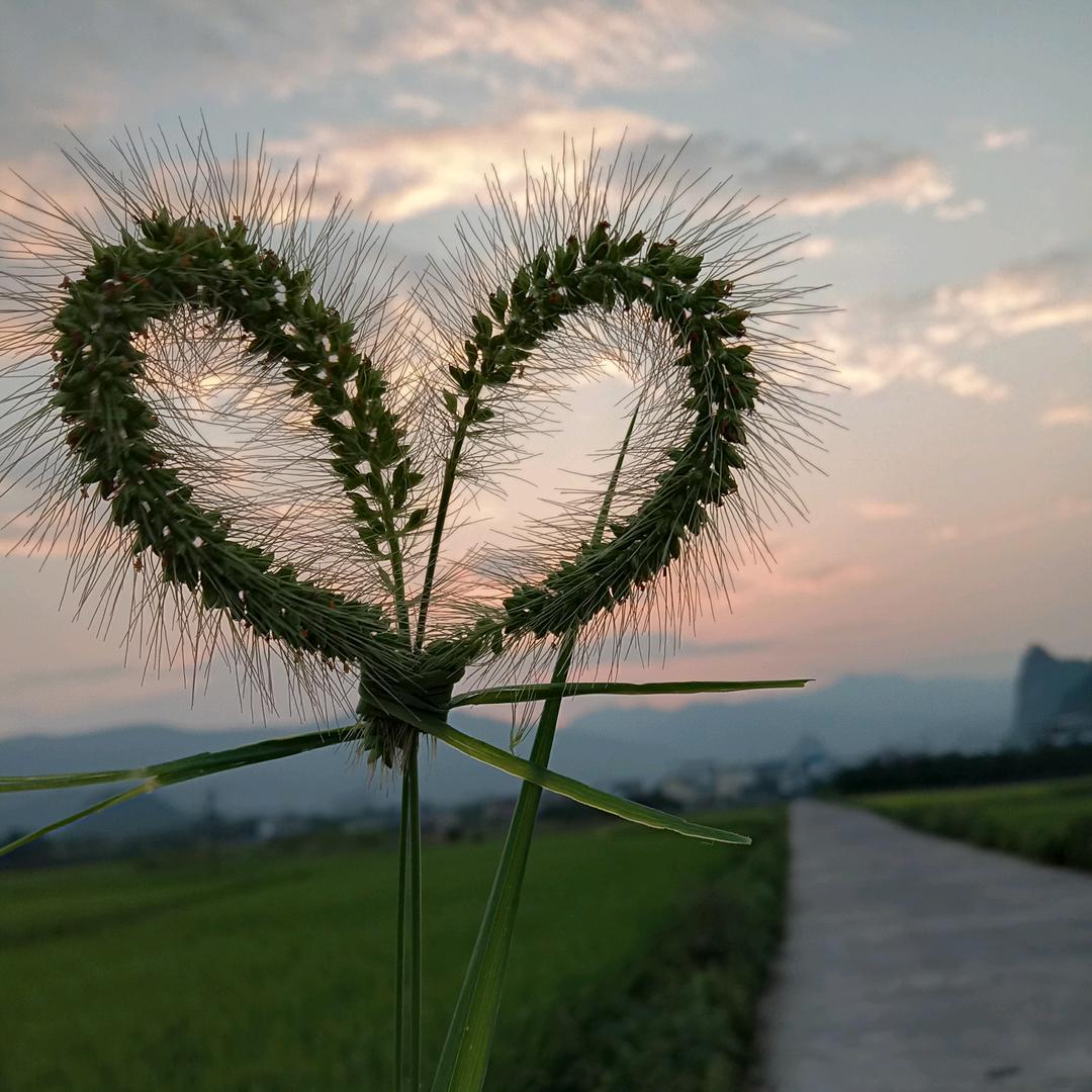 如果……