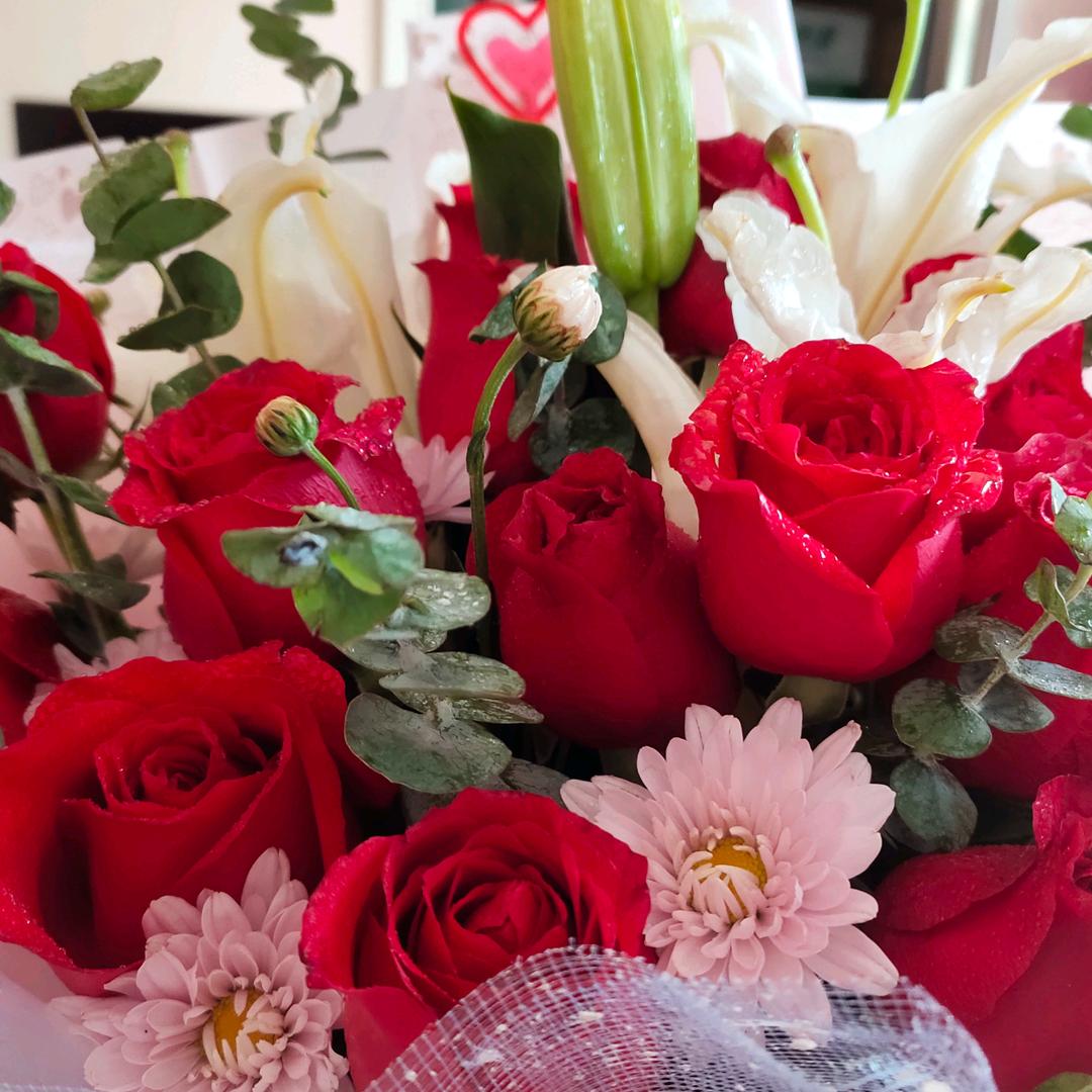 如风<拒绝连赞>