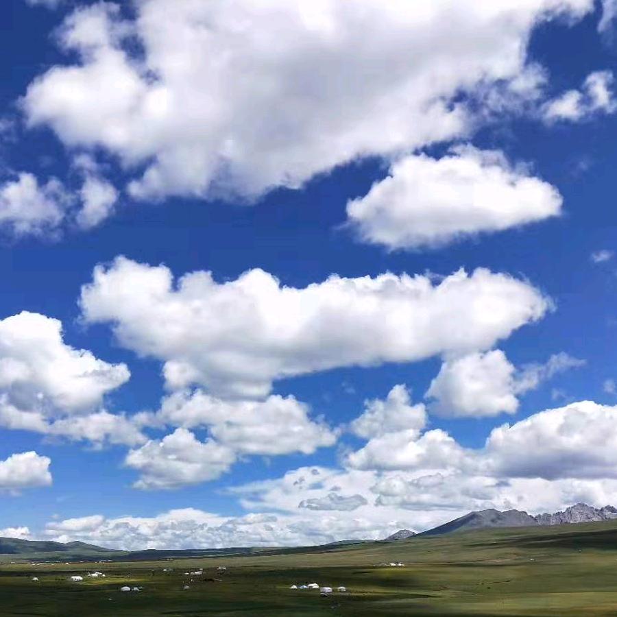 陌路风景