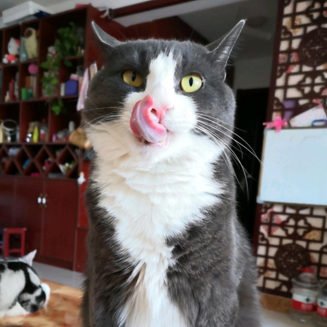 温柔烟火（王子妈）