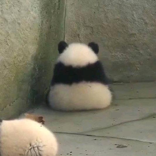 我还可以继续吃